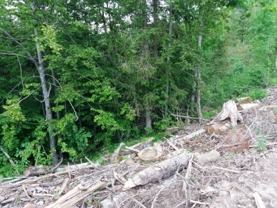 Gorski kotar