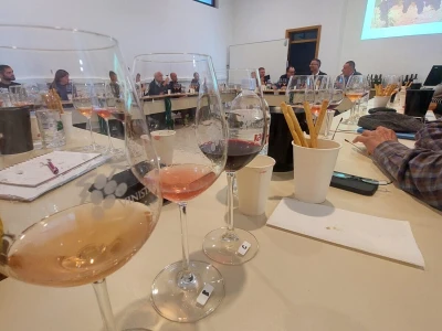 Gotovo nestale istarske sorte ponovno su u vinogradima i bocama