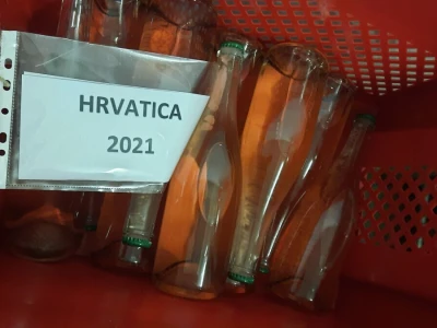 Gotovo nestale istarske sorte ponovno su u vinogradima i bocama