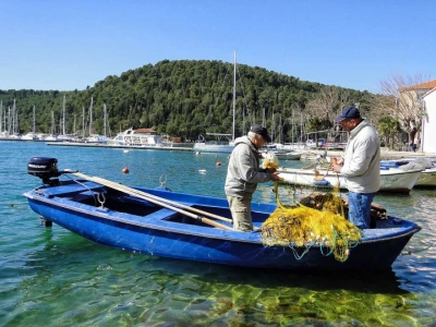 Grad Skradin