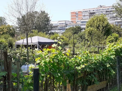Gradska poljoprivreda na CroAgru