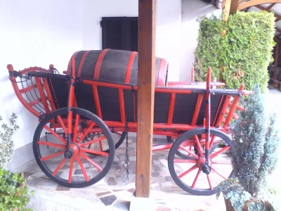 Graševina
