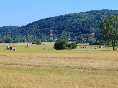 Grobničko polje