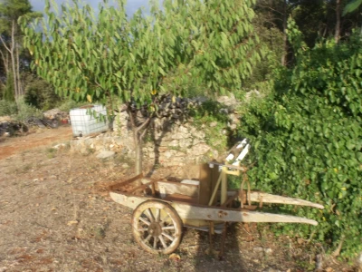 Na imanju