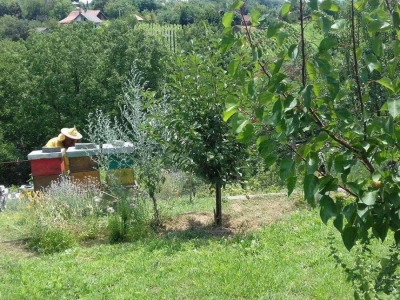 Planiraju i proizvodnju likera od meda i ljekovih biljaka