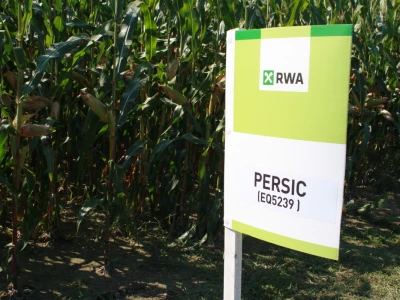 Hibrid kukuruza Persic - RWA Hrvatska