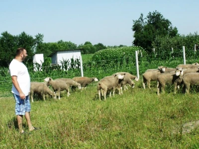 Horvatovi u Klokočevcima