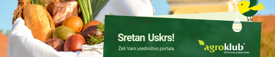 Uskrs