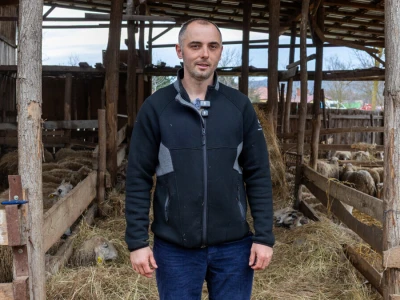 Hranidba janjadi na OPG-u Olivera Pavića