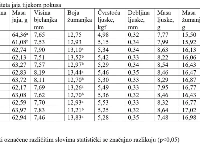 Hranidba nesilica, pokus Patent Co.