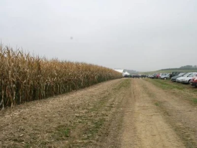 Pioneer dani polja kukuruza