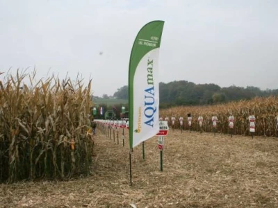 Pioneer dani polja kukuruza