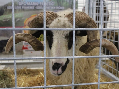 Sajam CroAGRO 2019
