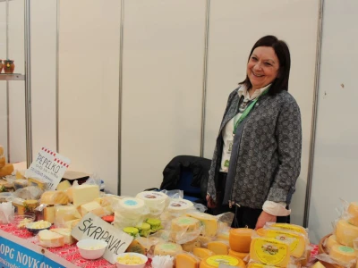 Viroexpo 2017.
