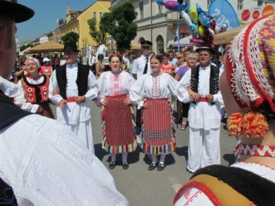 Tijekom tjedna su se u Daruvaru održali izbori županije za miss