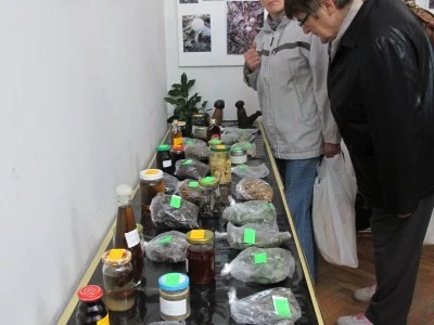 Ponuda vina, likera, meda, vinskog gulaša