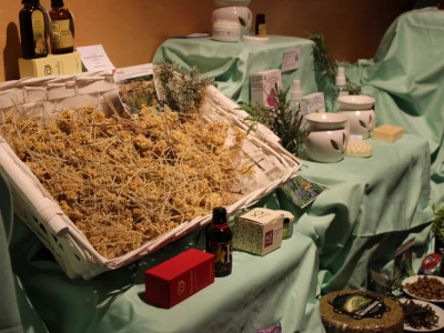 Noćnjak 2016.
