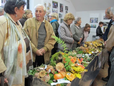 Veliki interes za treću izložbu gljiva i fotografija Udruge gljivara „Kotrč“ Daruvar