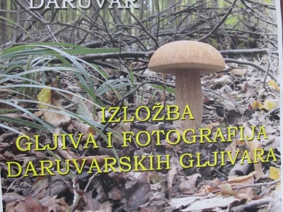 Veliki interes za treću izložbu gljiva i fotografija Udruge gljivara „Kotrč“ Daruvar