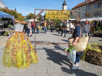 Šesti jesenski cvjetni sajam u Daruvaru