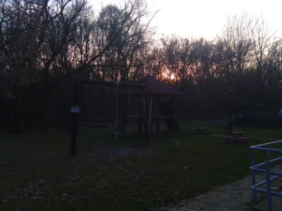 Šuma