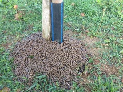 Ecodig