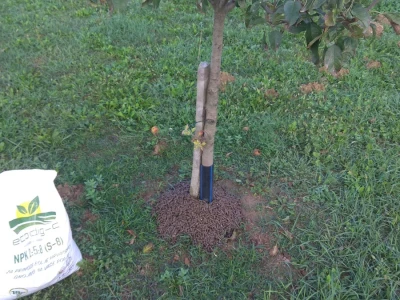 Ecodig
