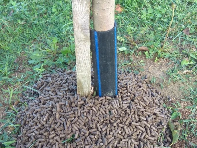 Ecodig