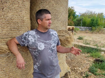 Farma ovaca u selu Nunić