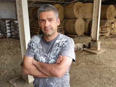 Farma ovaca u selu Nunić