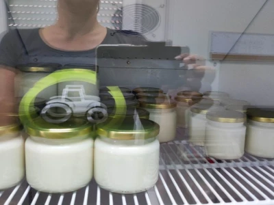 Farma ovaca u selu Nunić