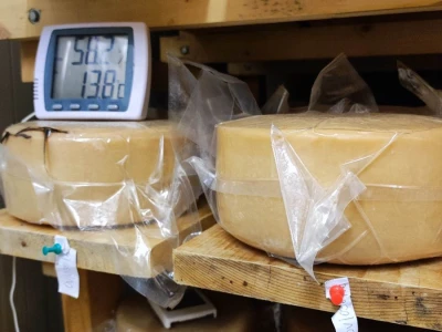 Farma ovaca u selu Nunić