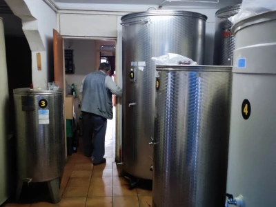 Vinograd u Starom Petrovom Selu