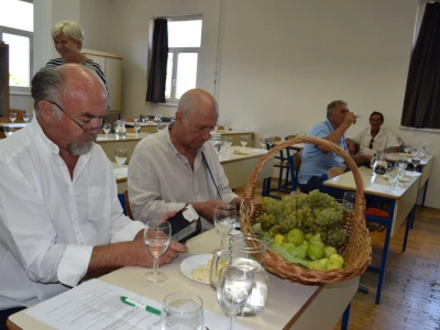 Ususret Sabatini 2023: Jemtva u Dalmaciji, a jemati se nema što!