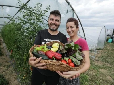Crveni pauk na lubenicama