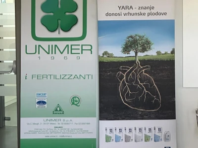 MASLINARSTVO DANAS I SUTRA - Od 8 milijuna navodnjavamo samo 5 posto maslina