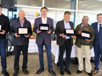 Dani masline 2025