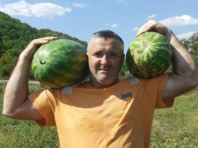 OPG Stojanović