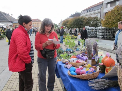 Cvjetna košarica za selfi - hit u Ždralovu gradu