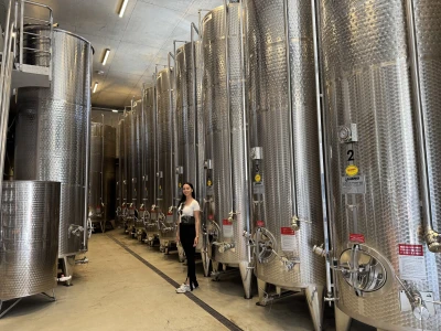 Vinarija Tomaz - Motovun