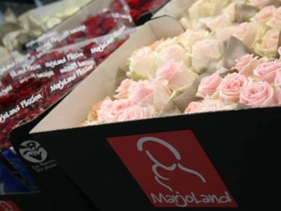 Sajam hortikulture - Horti Fair 2012