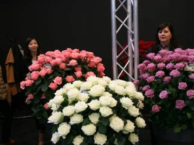 Sajam hortikulture - Horti Fair 2012