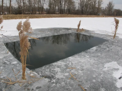 Rupe, osim za kisik ribama, služe i za kontrolu njihovog stanja, sadržaja kisika i mjerenja temperature vode