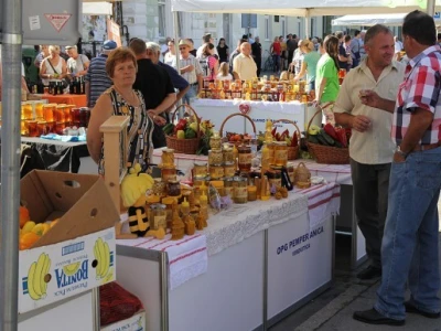 AgroExpo 2015.