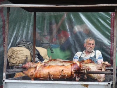 91. međunarodni poljoprivredni sajam u Novom Sadu
