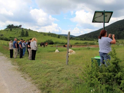 Zaštita od velikih zvijeri