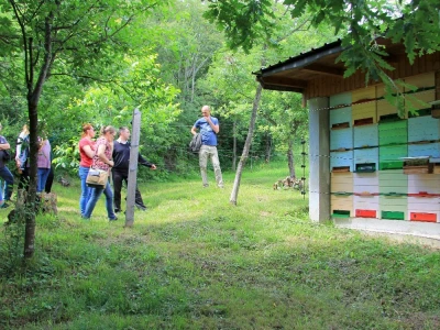 Zaštita od velikih zvijeri