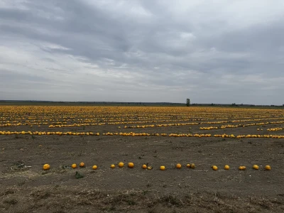 Agro Marić Vrbanja