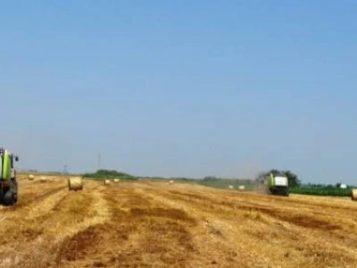 Agron u žetvi