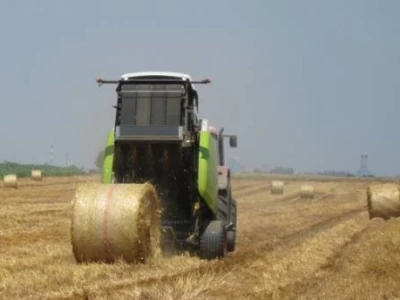 Agron u žetvi